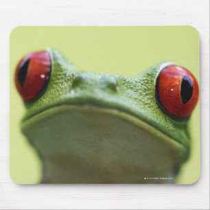 Rot-mit Augen Baumfrosch (Agalychnis callidryas) 2 Mousepad