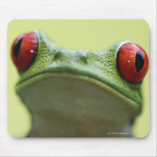 Rot-mit Augen Baumfrosch (Agalychnis callidryas) Mousepad