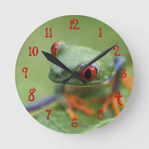 Rot-mit Augen Baumfrosch (Agalychnis callidryas) Runde Wanduhr