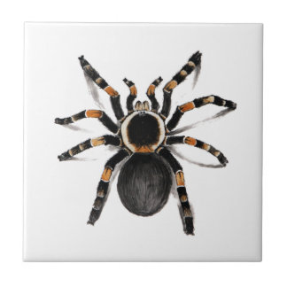 Rot mit einem Band versehene Tarantula-Spinne Fliese