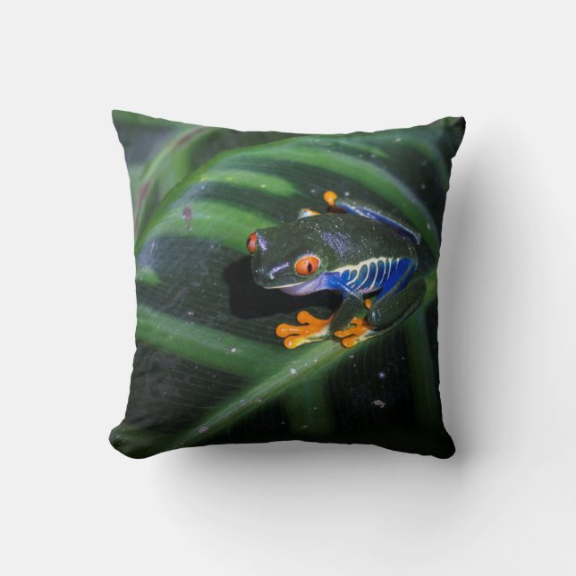 Rot mustert Frosch auf Blatt Kissen (Vorderseite)