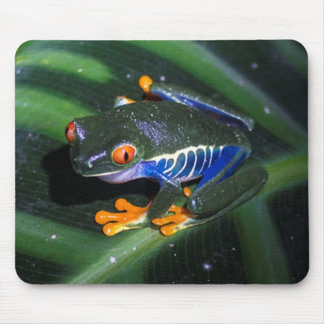 Rot mustert Frosch auf Blatt Mousepad (Vorne)