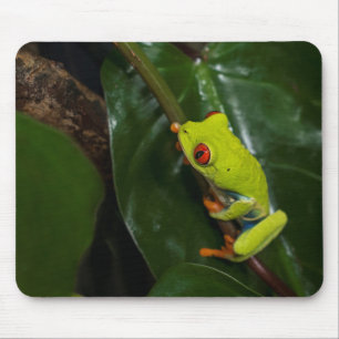 Rot mustert Frosch auf Stamm Mousepad