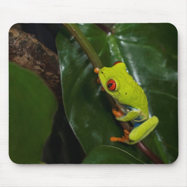 Rot mustert Frosch auf Stamm Mousepad (Vorne)