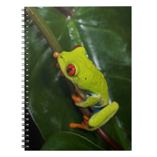 Rot mustert Frosch auf Stamm Notizblock (Vorderseite)
