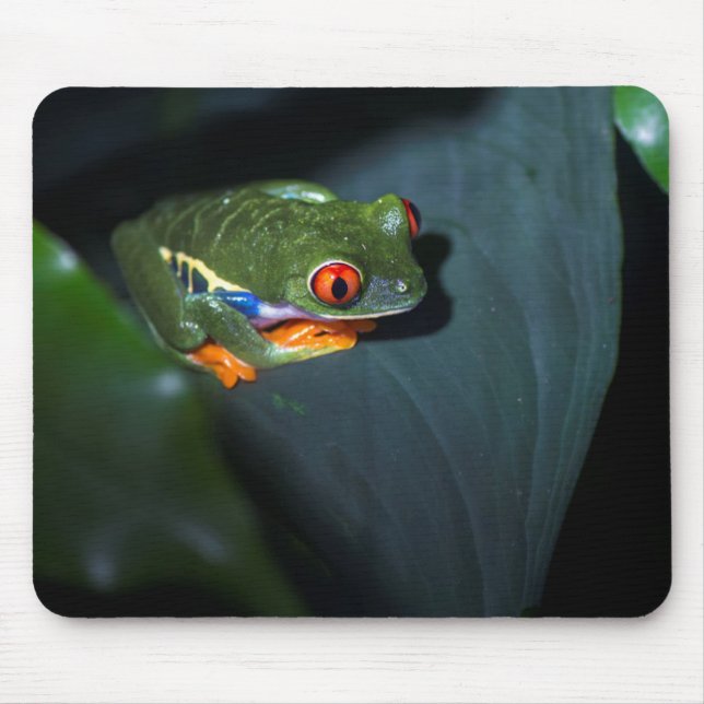 Rot mustert Frosch-Sitzen Mousepad (Vorne)