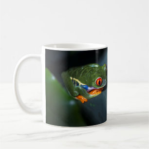 Rot mustert Frosch-Sitzen Tasse