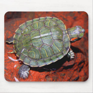 Rot-ohrige Schildkröte Mousepad