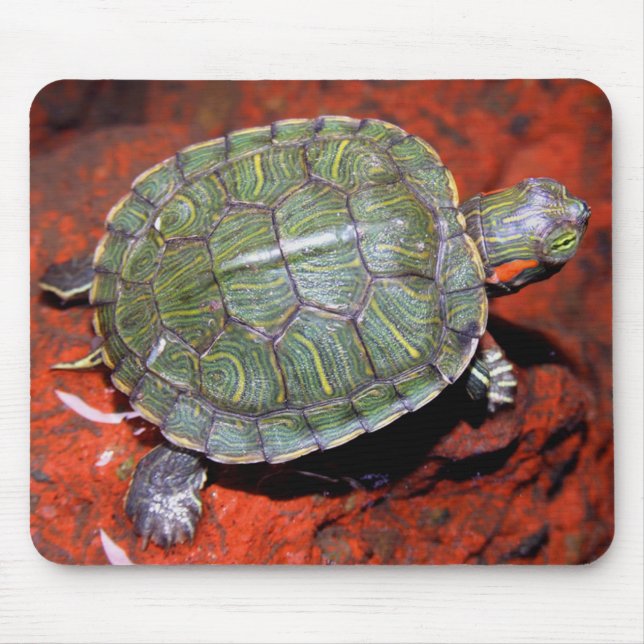 Rot-ohrige Schildkröte Mousepad (Vorne)