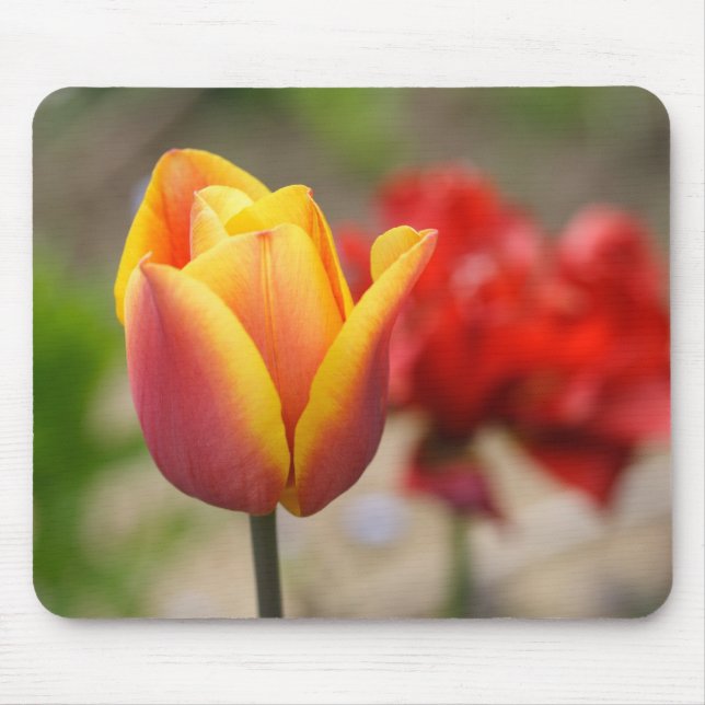 Rot-orange Tulpen Mousepad (Vorne)