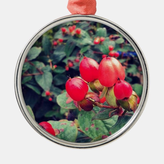 Rot Ornament Aus Metall (Vorne)