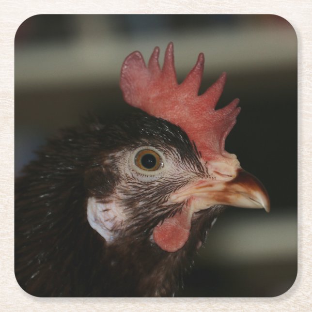 Rot Rechteckiger Pappuntersetzer (Vorderseite)