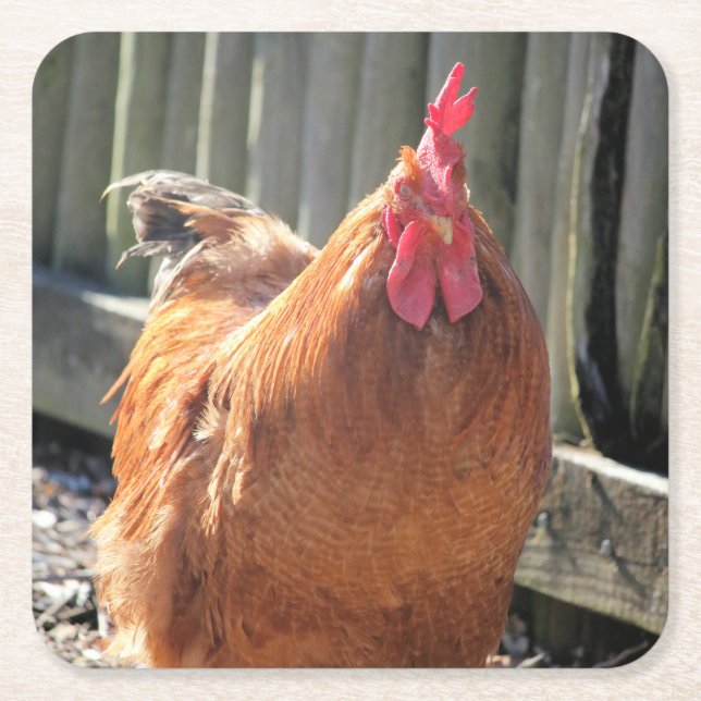 Rot Rechteckiger Pappuntersetzer (Vorderseite)