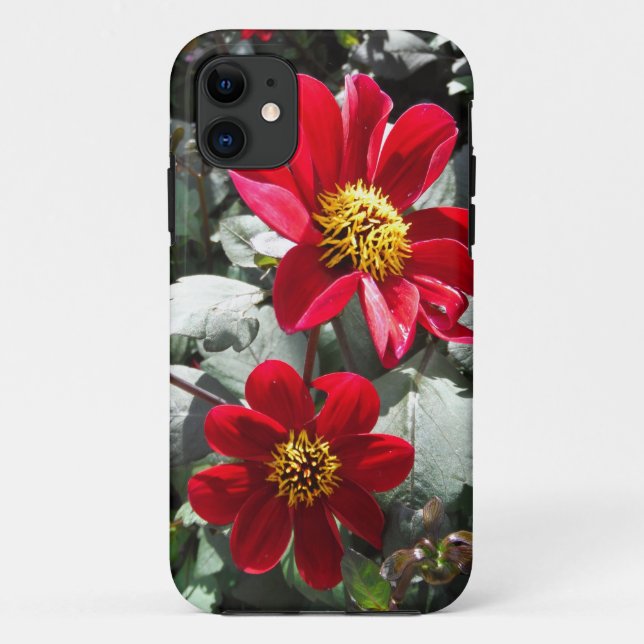 Rot-Rosa-Disy / Gänseblümchen Blume Case-Mate iPhone Hülle (Rückseite)