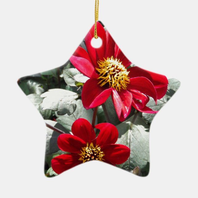 Rot-Rosa-Disy / Gänseblümchen Blume Keramik Ornament (Vorne)