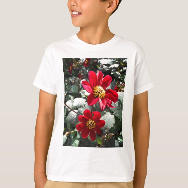 Rot-Rosa-Disy / Gänseblümchen Blume T-Shirt (Vorderseite)