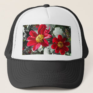 Rot-Rosa-Disy / Gänseblümchen Blume Truckerkappe