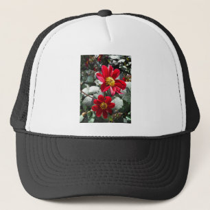 Rot-Rosa-Disy / Gänseblümchen Blume Truckerkappe