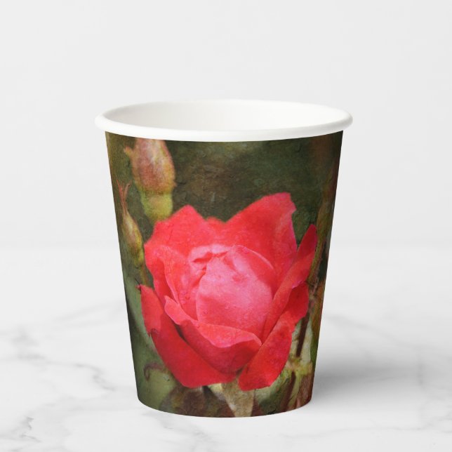 Rot, Rote Rose Pappbecher (Vorderseite)