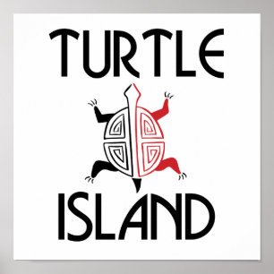 Rot-Schwarz-Schildkröten-Insel-Plakate Poster
