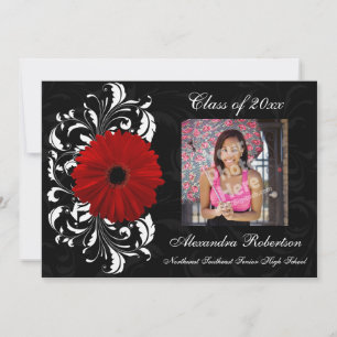 Rot/Schwarz Scroll Gerbera Daisy Abschluss Einladung