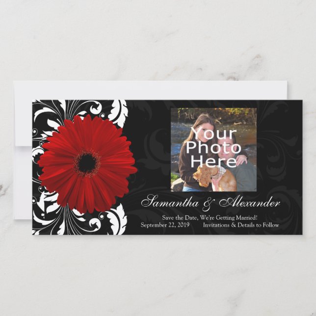 Rot, Schwarz und Weiß Scroll Gerbera Daisy Save The Date (Vorderseite)