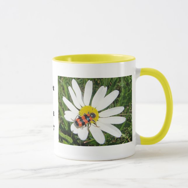 Rot-schwarzer Käfer auf weisser Margerite, Tasse (Rechts)
