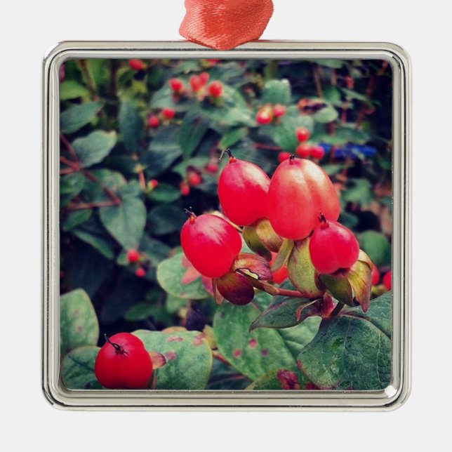 Rot Silbernes Ornament (Vorne)