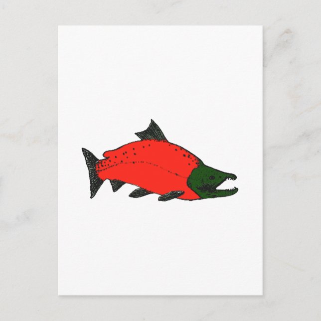 Rot - Sockeye Lachs Kunst Postkarte (Vorderseite)