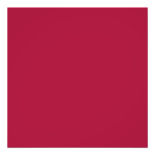 Rot (Solid Color) Fotodruck