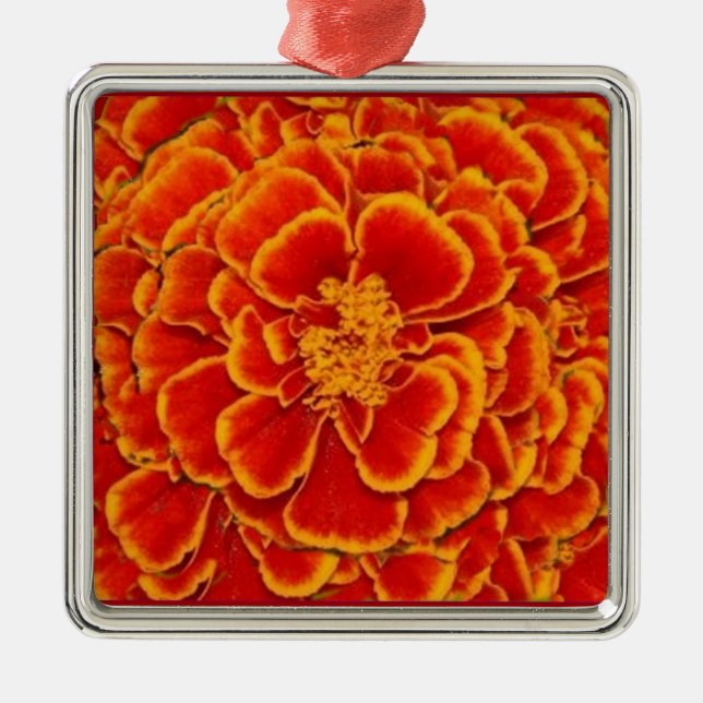 Rot u. Goldringelblumen-Blumen-Geschenke durch Silbernes Ornament (Vorne)