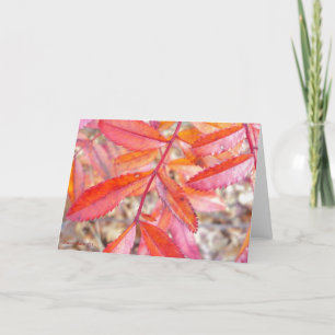 Rot u. orange Blätterkarte - Walden Teichufer Karte