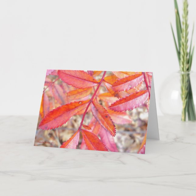 Rot u. orange Blätterkarte - Walden Teichufer Karte (Vorderseite)