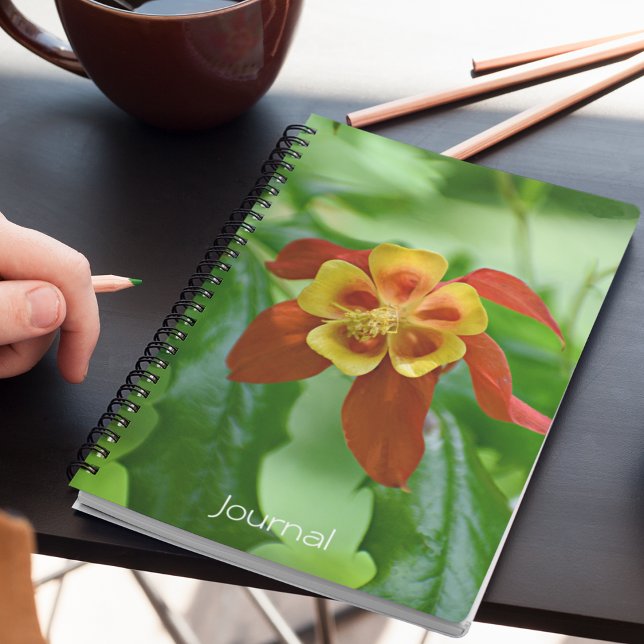 Rot und Gelb-Bicolor-Kolumne Notizbuch (In Situ)