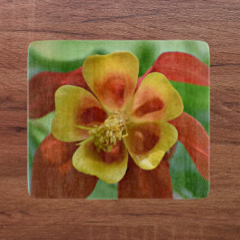 Rot und Gelb-Bicolor-Kolumne Schneidebrett