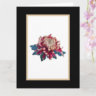 Rot und gelb Chrysanthemum Abbildung schwarz Karte