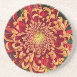 Rot und Gelb Chrysanthemum Floral Getränkeuntersetzer