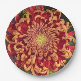 Rot und Gelb Chrysanthemum Floral Pappteller