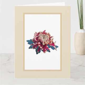 Rot und gelb Chrysanthemum Illustration beige Karte