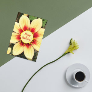 Rot und Gelb Dahlia Blumengeburt Karte