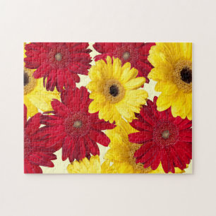 Rot und Gelb Gerber Daisy Fotograf Puzzle