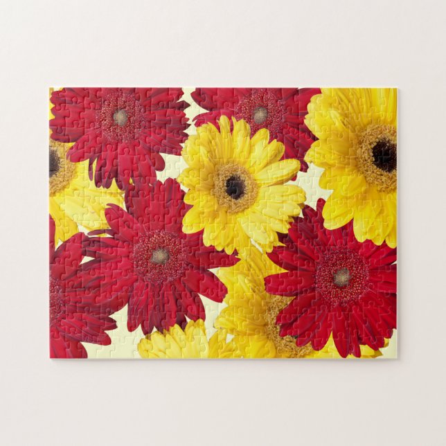 Rot und Gelb Gerber Daisy Fotograf Puzzle (Horizontal)