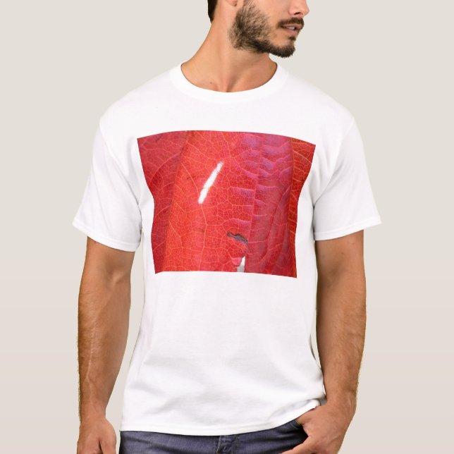 Rot und Grün T-Shirt (Vorderseite)