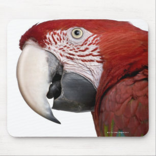 Rot-und-grüner Macaw - Ara chloropterus Mousepad