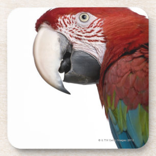 Rot-und-grüner Macaw - Ara chloropterus Untersetzer