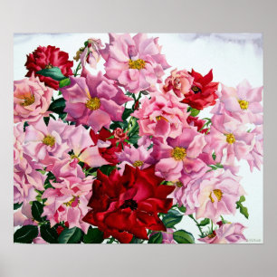 Rot und Rosa Rosen 2008 Poster