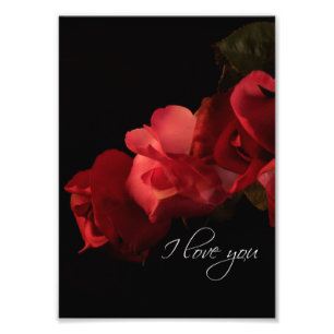 Rot und Rosa Rosen "I Liebe you" Foto Drucken