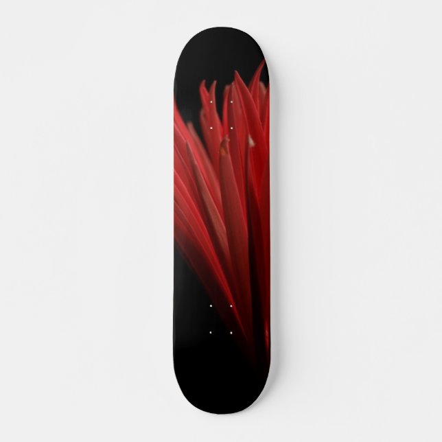 Rot- und Schwarzentwurf Skateboard (Vorne)