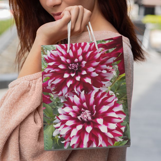 Rot und Weiß Dahlias Floral Mittlere Geschenktüte (In Situ)