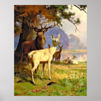 Rot und Weiß Hirsche in der Nähe eines Waldteiches
